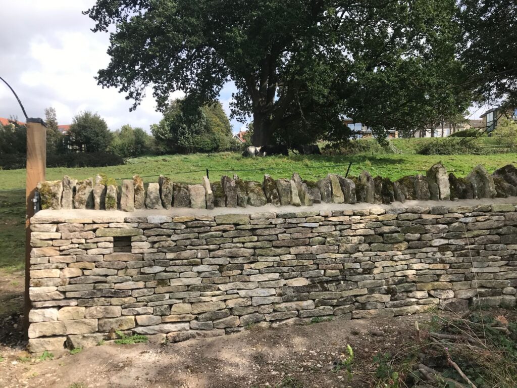 IMG_3162 James Randolph Rogers